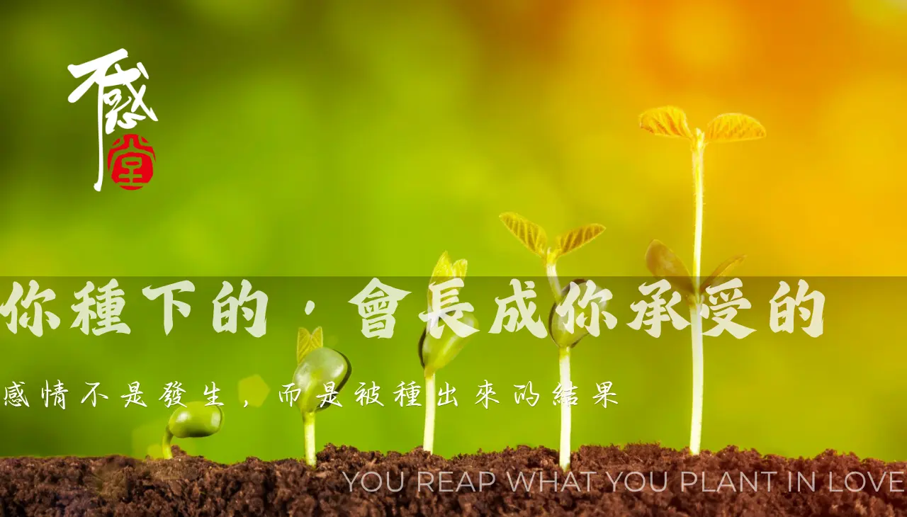 象徵種子成長的畫面，代表潛意識信念如何影響感情與爛桃花模式